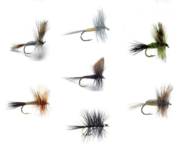 Top Dry Flies for Trout Fishing in Ohio's Creeks, Rivers and