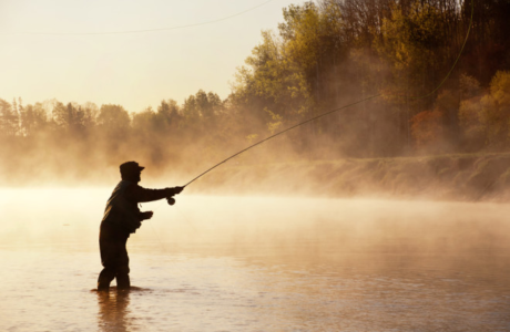 Top Dry Flies for Trout Fishing in Ohio's Creeks, Rivers and